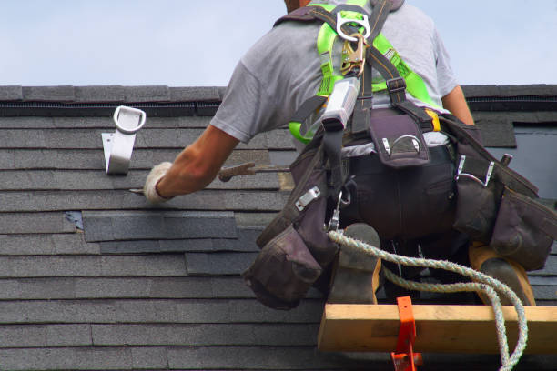 Best Roof Gutter Cleaning  in Edwardsville, KS