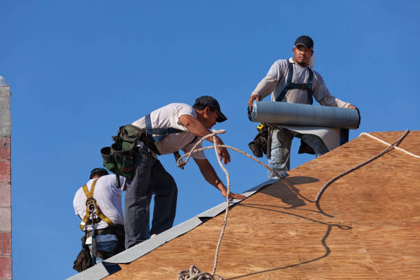 Gutter Installation and Roofing in Edwardsville, KS